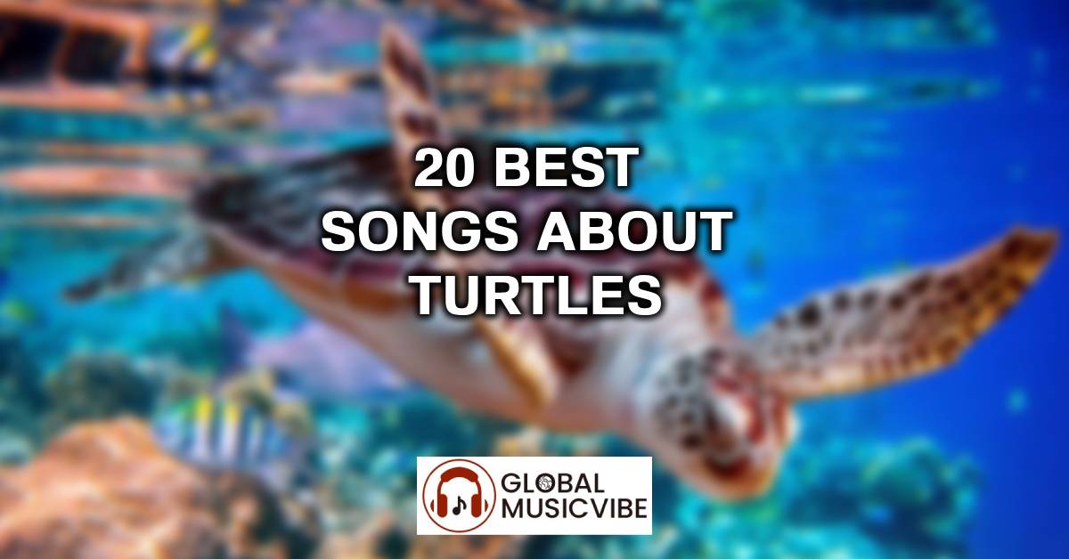 20 Best Songs About Turtles