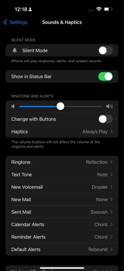 IOS sound and haptics setting
