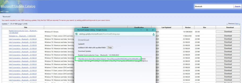 In the popup window, click the download link to save the file to your computer