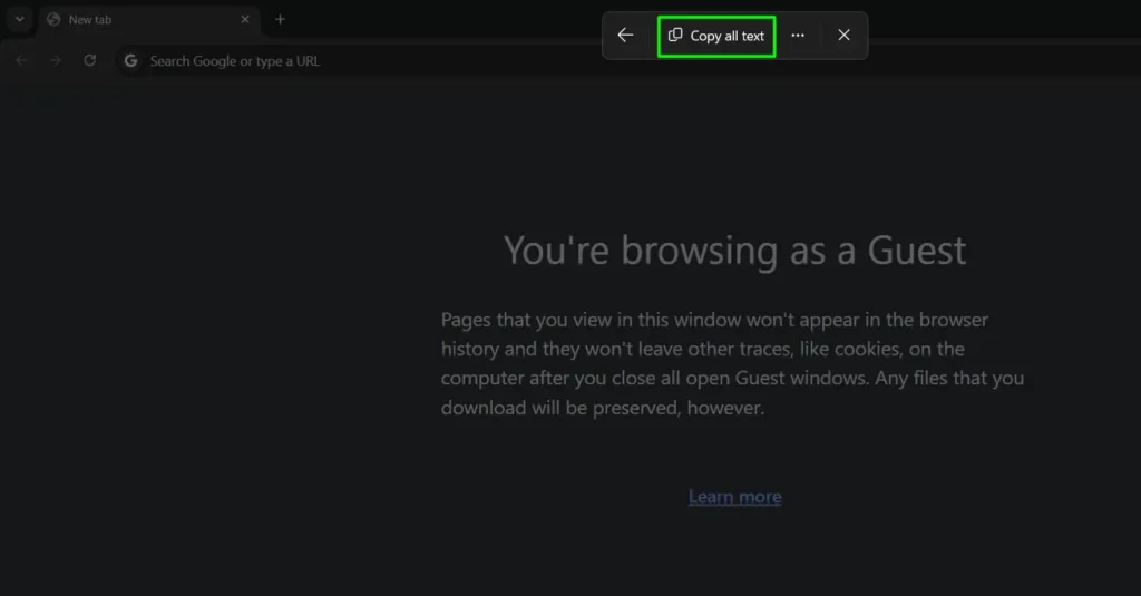Click ‘Copy all text’ to copy all the extracted text to the clipboard.