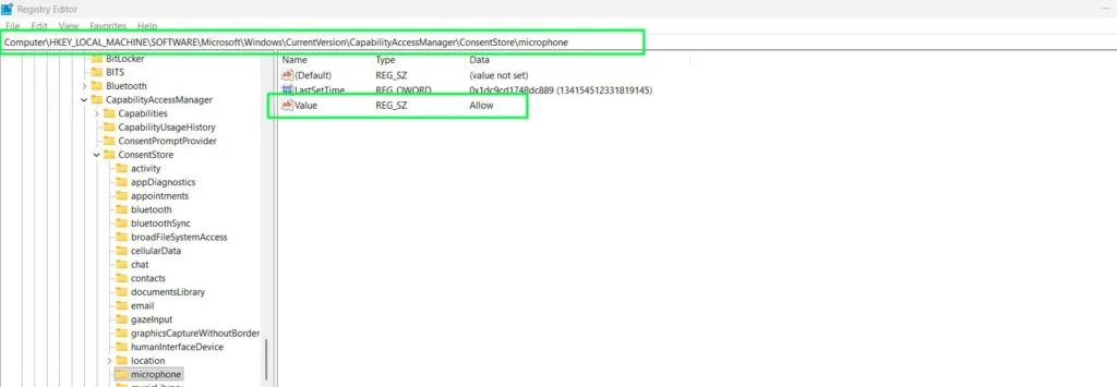 The value should show Allow for microphone access to work