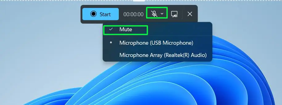 click the microphone dropdown arrow